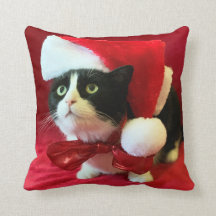 Multicolor 16x16 Christmas Santa Kitten Xmas Kitty Costume Ho Cat Santa Hat Lazy Feline Owner Anti-Holiday Kitty Throw Pillow Multicolor 16x16 Christmas Santa Kitten Xmas Kitty Costume Ho Cat Santa Hat Lazy Feline Owner Anti-Holiday Kitty Throw Pillow