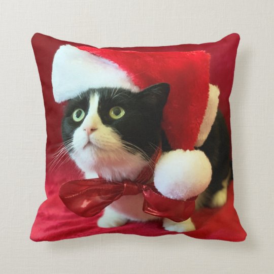 cat christmas pillow