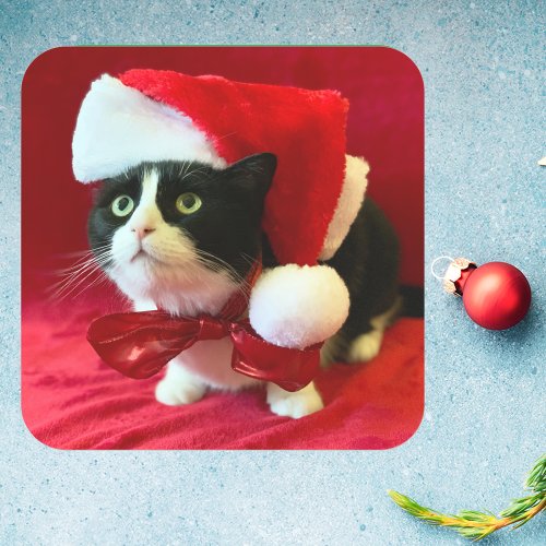 Peaches the Tuxedo Cat Christmas Stickers
