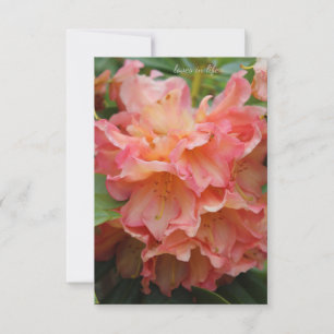 Peachy Colored Rhododendron Note Card