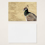 Peacock (Front & Back)
