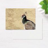 Peacock (Desk)