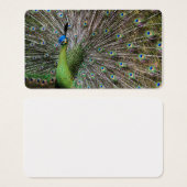 Peacock (Front & Back)