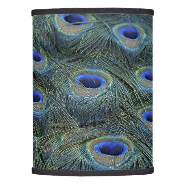 Peacock20160301 Lamp Shade (Front)