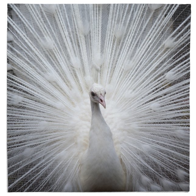 Peacock20160401 Cloth Napkin (Front)