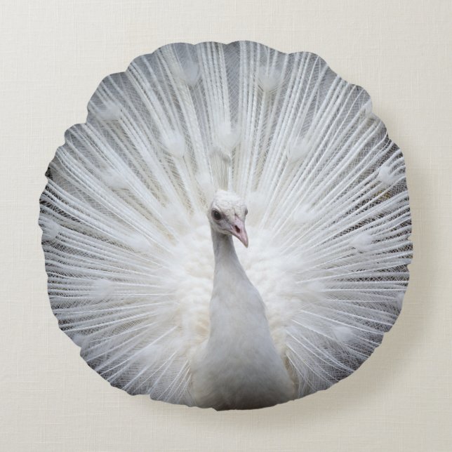Peacock20160401 Round Pillow (Front)