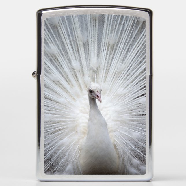 Peacock20160401 Zippo Lighter (Front)