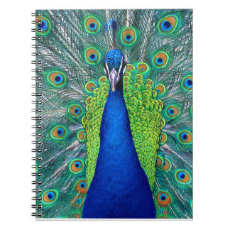 Peacock#1 Notebook