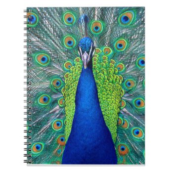 Peacock#1 Notebook by rgkphoto at Zazzle