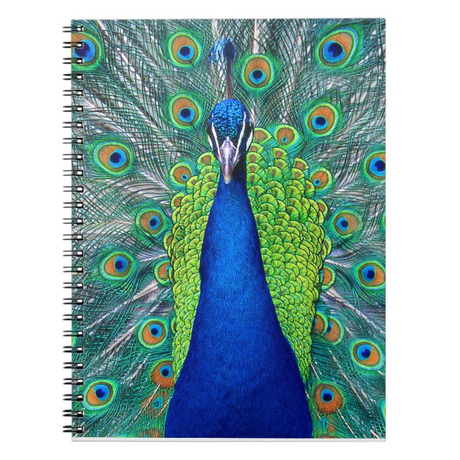 Peacock#1 Notebook (Front)