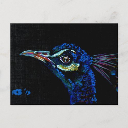 Peacock 1 postcard