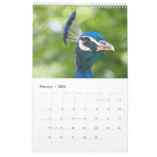 Peacock 2023 calendar Zazzle