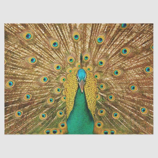 Peacock 2 Wall Art Decoupage Tissue Paper (Front)