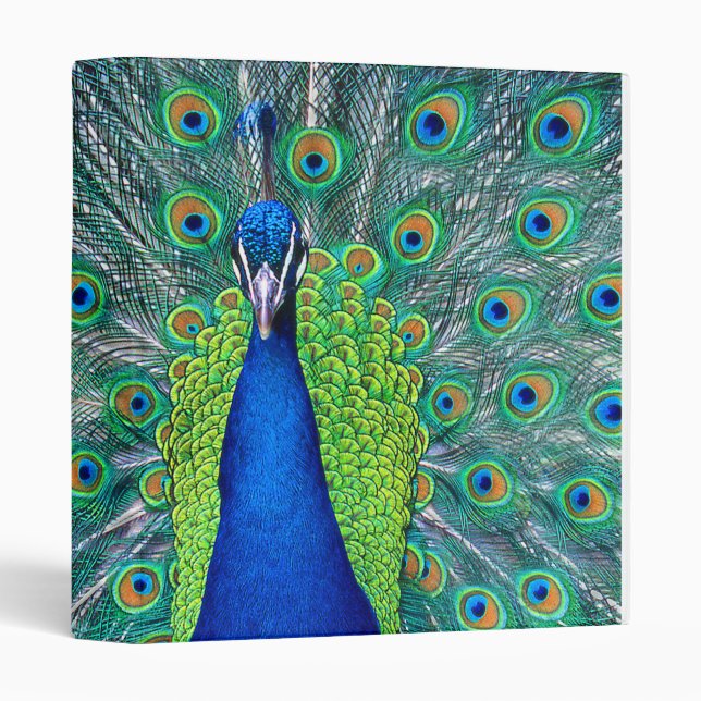 Peacock#3 3 Ring Binder (Front/Spine)