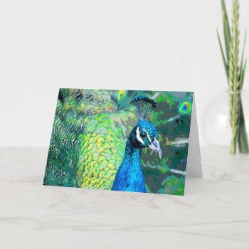 Peacock #3 Card by rgkphoto at Zazzle