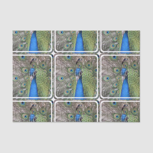 peacock-3.jpg tissue paper (Front)