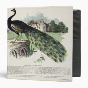 Peacock 3 Ring Binder