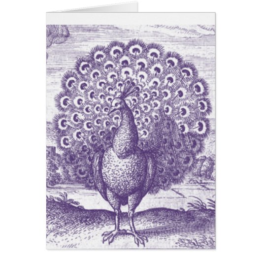 Peacock, a vintage engraving cards (Front)