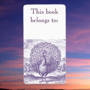 Peacock, a vintage engraving label