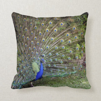 Peacock Accent Pillow
