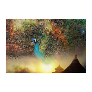 Peacock Acrylic Print
