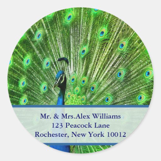 Peacock Address Labels Classic Round Sticker Zazzle Peacock address labels classic round sticker zazzle