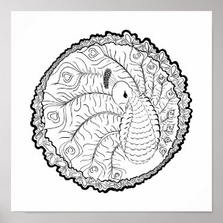 Peacock Adult Coloring Poster