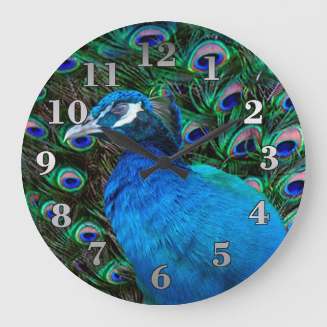 Peacock and Feather Large Clock (Front)
