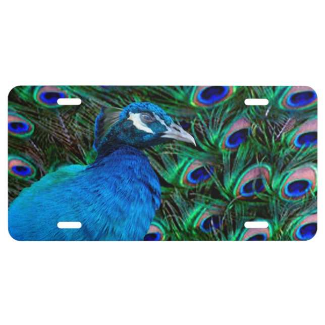 Peacock and Feather License Plate (Front)