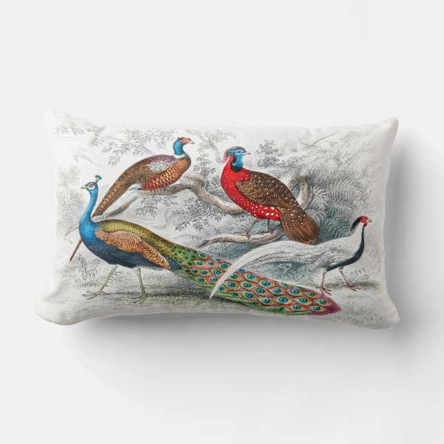 Peacock and Pheasants - Oliver Goldsmith -  Lumbar Pillow (Front)