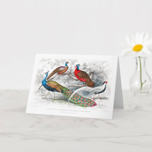 Peacock and Pheasants _ Oliver Goldsmith _ vintage Card