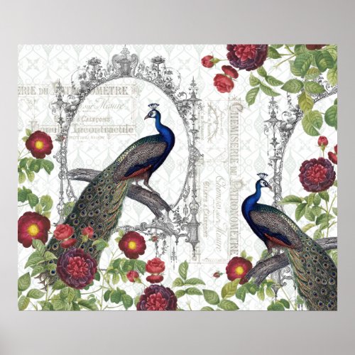 PEACOCK AND ROSES VINTAGE PRINT