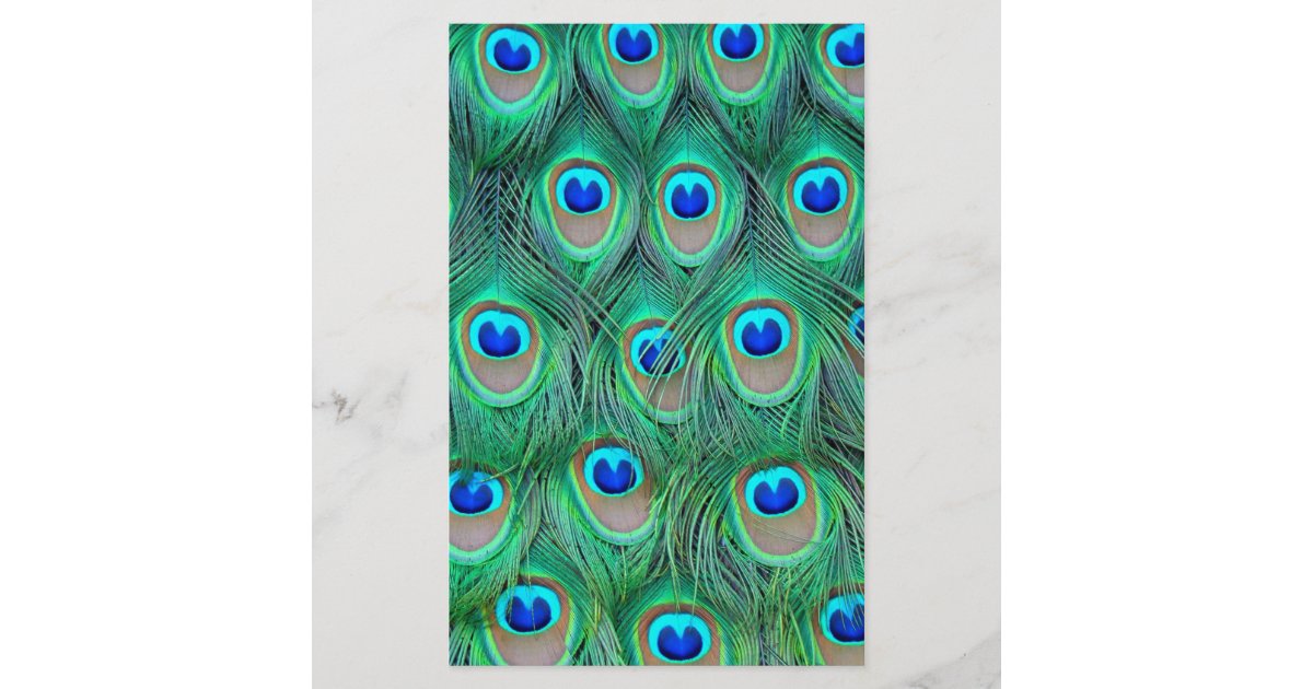 peacock animal print - feathers