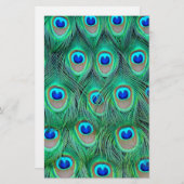 peacock animal print - feathers (Front/Back)