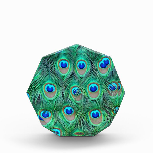 peacock animal print - feathers acrylic award (Front)