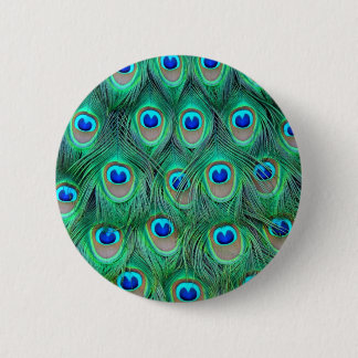 peacock animal print - feathers pinback button