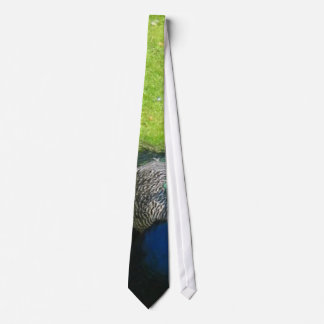 Peacock Animal Tie