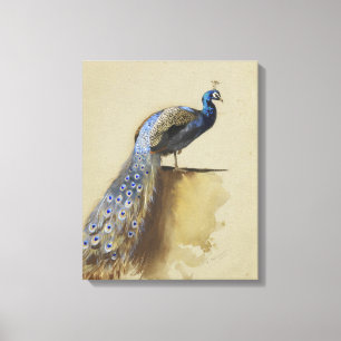 Peacock   Archibald Thorburn Canvas Print