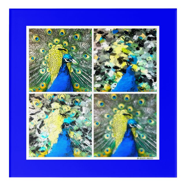 Peacock Art  (Front)