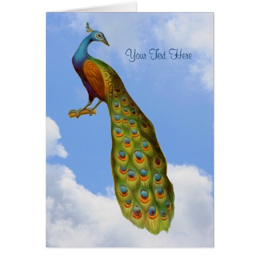 Peacock Art Animal Card (Front)