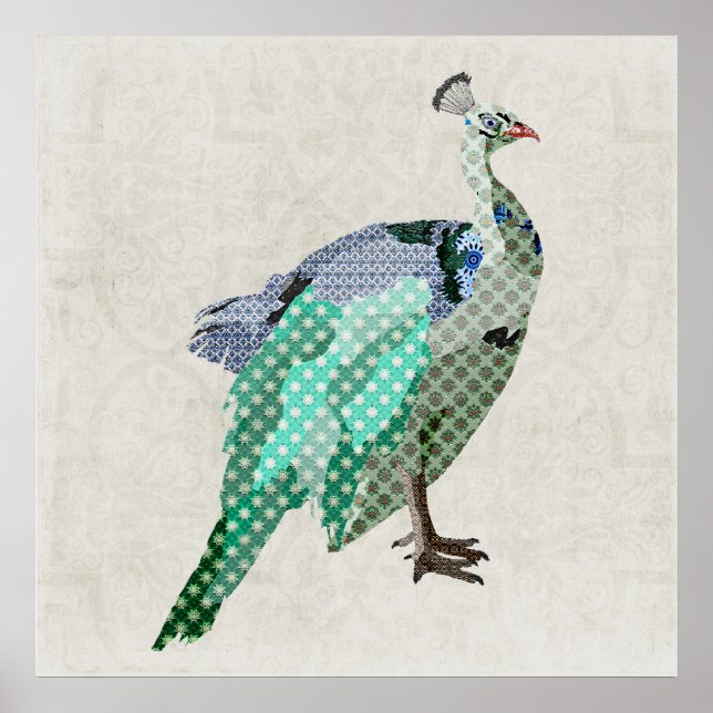 Peacock  Art Canvas Poster (Front)
