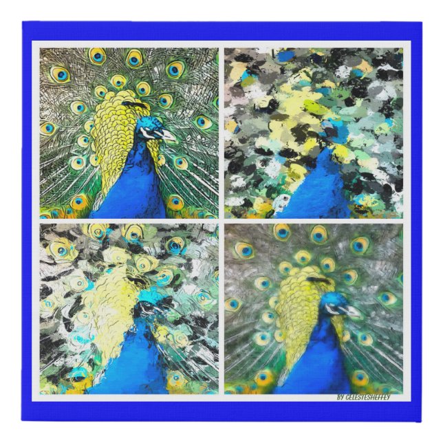 Peacock Art  Faux Canvas Print (Front)