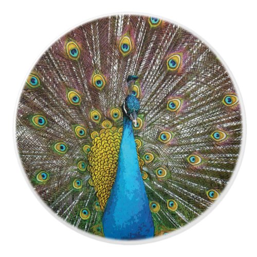 Peacock Art in Jewel Tone Colors Ceramic Knob