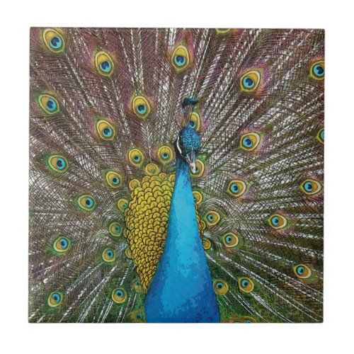 Peacock Art in Jewel Tone Colors Ceramic Tile