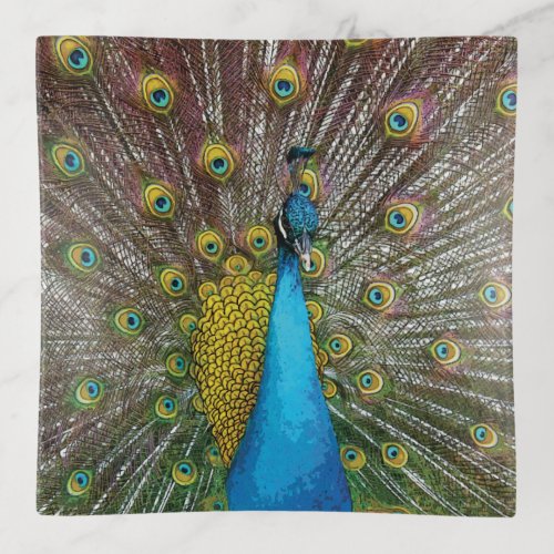 Peacock Art in Jewel Tone Colors Trinket Tray