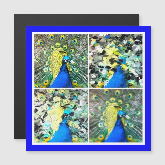 Peacock Art magnetic card (Front/Back)