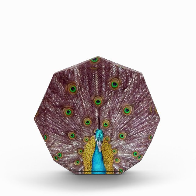 peacock award (Front)