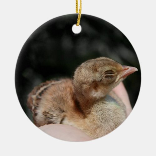 Peacock baby chick in hand ceramic ornament