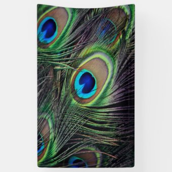 Peacock Banner | Zazzle