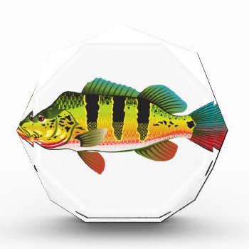 Peacock Bass Bright Ocean Gamefish Illustration Acrylic Award by anton_novik at Zazzle